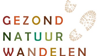Gezond Natuur Wandelen
